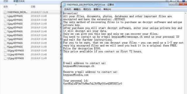  A new ransomware disguised as Windows Activator is emerging in the wild