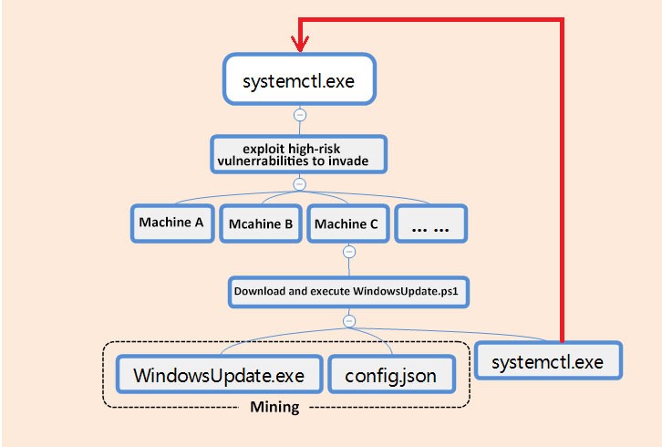 The overall virus flow